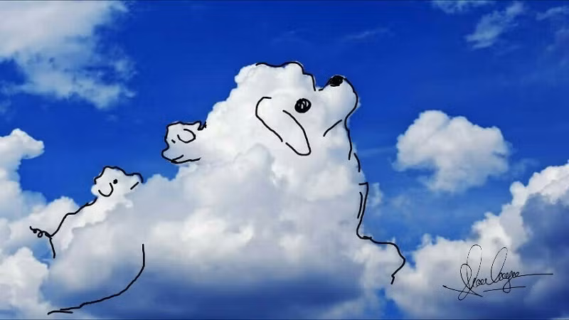 Vẫn là chú chó tinh nghịch, đáng yêu.