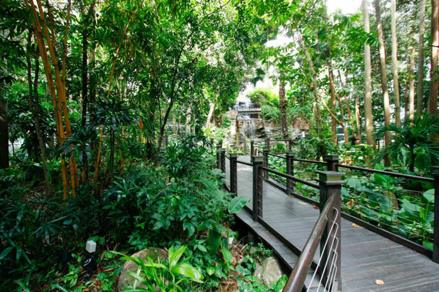 Sân bay quốc tế Kuala Lumpur, Malaysia dành riêng một khu vực để tạo thành một khu rừng nhiệt đới.