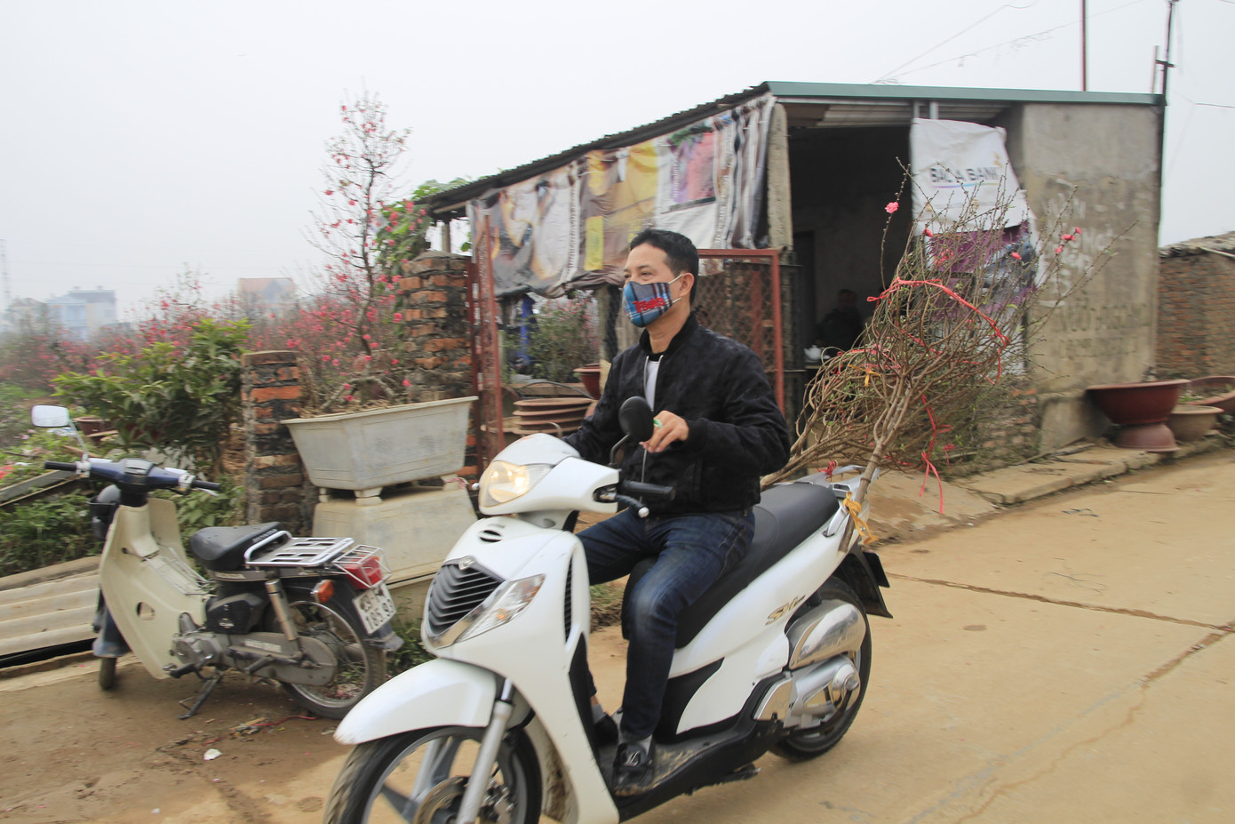 Mọi người hân hoan đến vườn “đón Tết” về nhà.