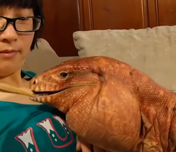 Tôi không kén ăn đâu.