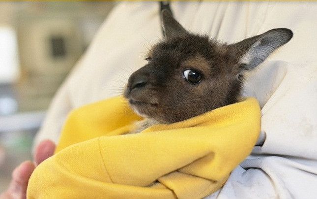 Những tình huống oái oăm ai cũng phải trải qua ít nhất chục lần ảnh 9