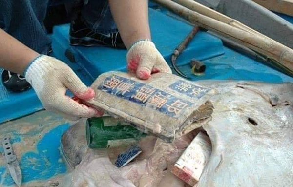 Cuốn sách được tìm thấy trong bụng con cá đuối. Cuốn sách được tìm thấy trong bụng con cá đuối.