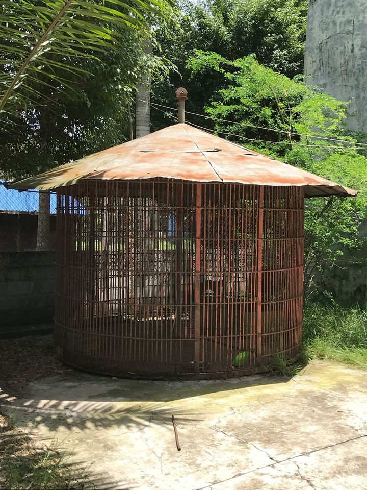 Lối trưng bày động vật đặc trưng của thế kỷ trước.