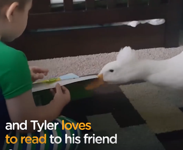 Đọc sách cũng còn đọc cùng nữa cơ mà!