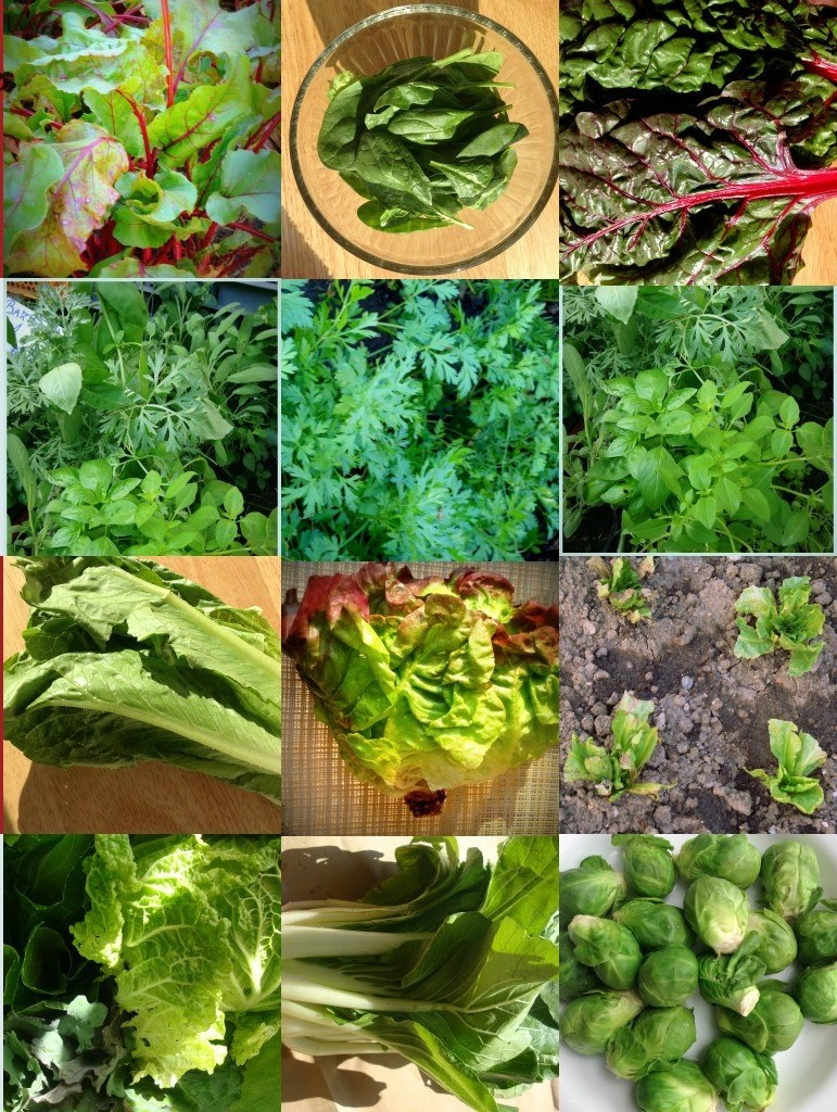 Với 6 “vũ khí hủy diệt” này, mầm mống ung thư trong cơ thể bạn sẽ lần lượt “tự sát” ảnh 3