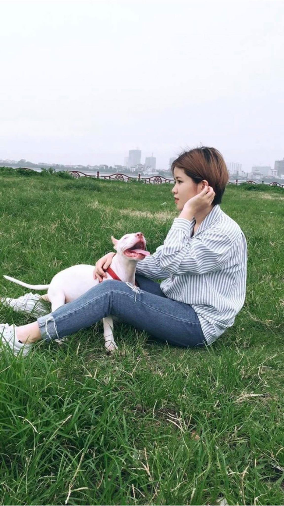 Nguyễn Thuận dù rất vui khi biết tới dự định của UBND TP Hà Nội nhưng đồng thời cũng nhận thấy lộ trình này đang tạo nhiều bất công với người khác lẫn các loài động vật bị lấy thịt.