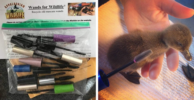 Những ý tưởng sáng tạo để giữ lấy màu xanh cho Trái Đất ảnh 3 Những ý tưởng sáng tạo để giữ lấy màu xanh cho Trái Đất ảnh 3