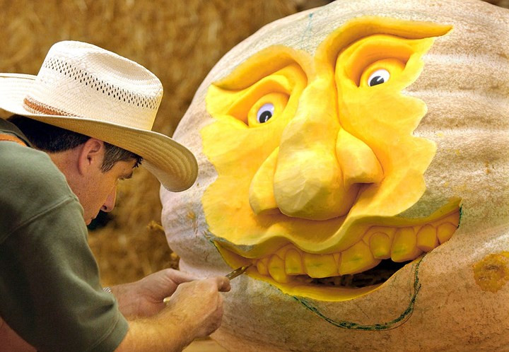 Khắc hình khuôn mặt trên bí ngô có lẽ là đơn giản hơn cả. Ảnh: "Bác nông dân Mike" đang chạm khắc khuôn mặt trên quả bí ngô nặng hơn 200kg.