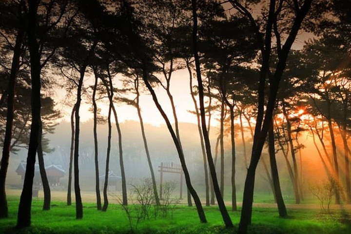 Ánh sáng huyền ảo ở khu lăng mộ của Vương hậu Jeongsun thời Triều đại Joseon (Triều Tiên) trong lịch sử Triều Tiên - Hàn Quốc.