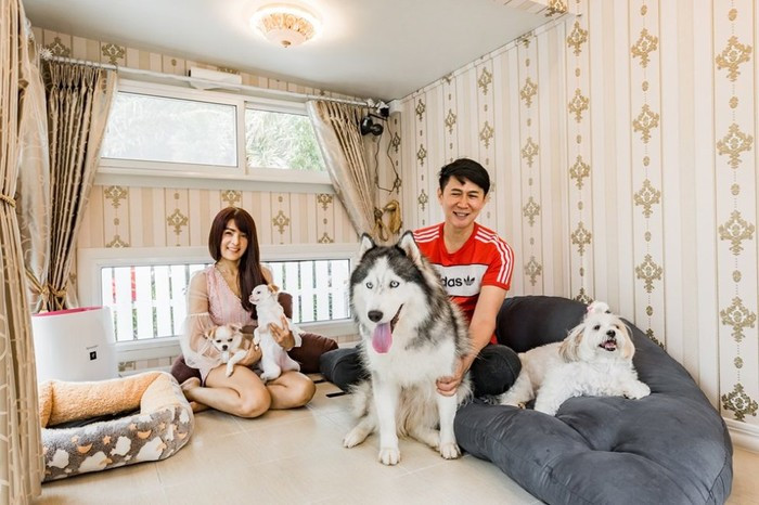 Điều đặt biệt ở đây, ngôi nhà được thiết kế gọn gàng, mượt mà, thanh lịch và thoáng mát.