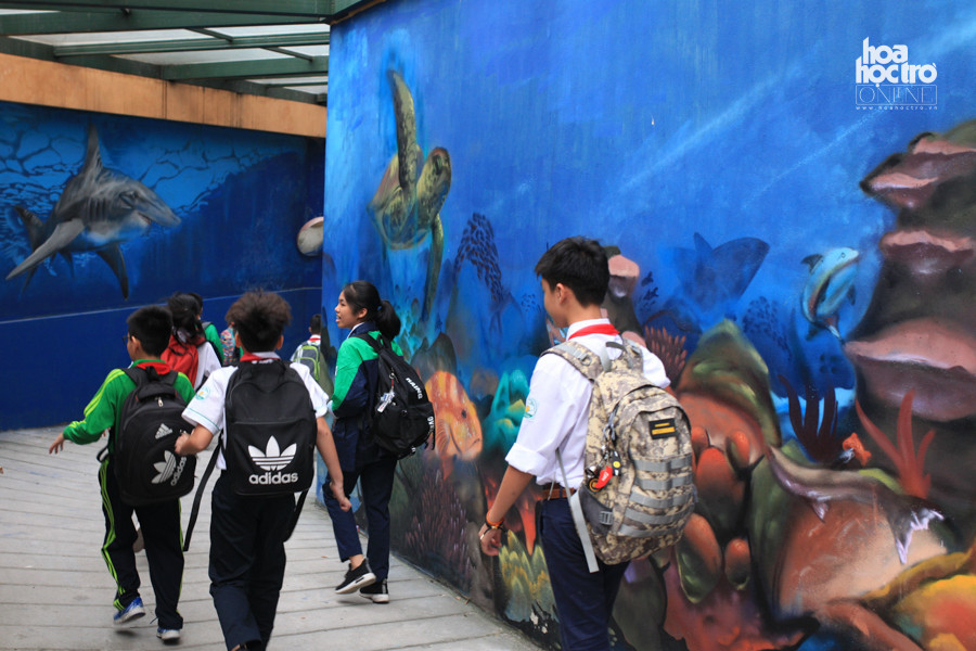 "Con đường thủy cung" khiến các học sinh thích thú.