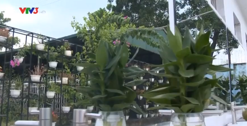 Có đầy đủ cây cối và trang thiết bị được sắp xếp rất sạch sẽ, gọn gàng