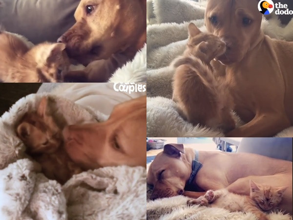 Khoảnh khắc những ngày đầu gặp gỡ.