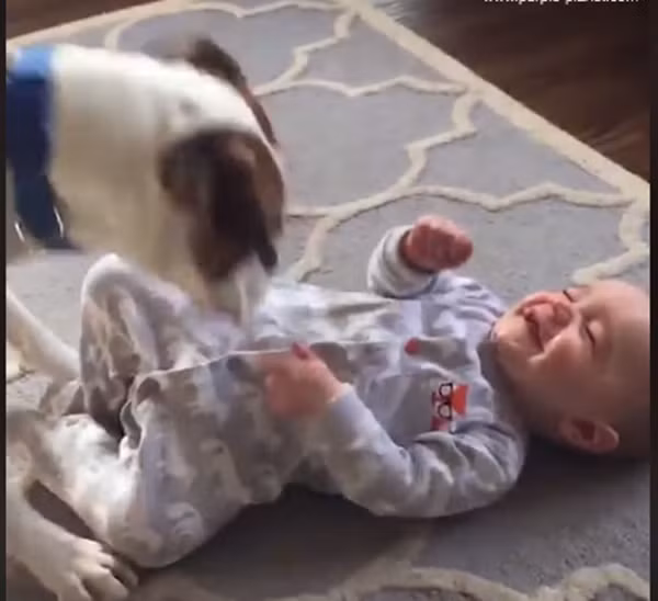 Bạn ý luôn chọc cho tôi cười.