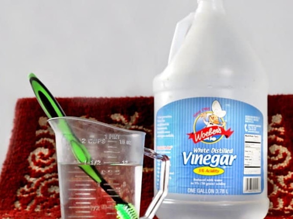 Ngâm bàn chải vào cốc dấm trắng trong 15 phút rồi rửa lại cũng là cách để diệt khuẩn cho bàn chải đấy.