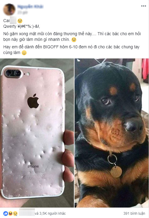 Cuộc sống không thực sự màu hồng khi nuôi chó mà!