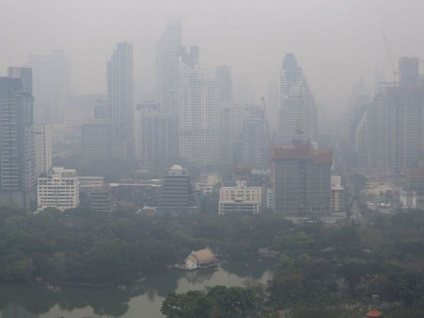 Ảnh: Straits Times