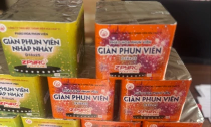 Mặt hàng pháo hoa của công ty 21 .