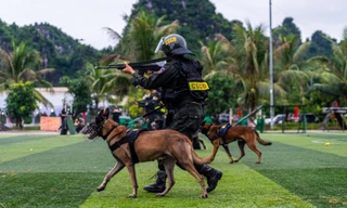 Công an Quảng Ninh báo cáo huấn luyện, ra quân bảo vệ Đại hội Đảng toàn quốc