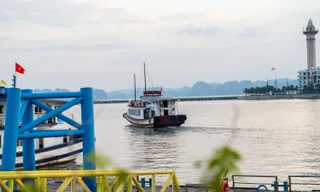 Chưa có lệnh cấm biển, tàu du lịch vịnh Hạ Long đã ‘rủ nhau’ đi tránh bão