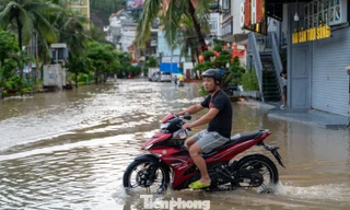 Mưa lớn khiến nhiều khu đô thị ở Quảng Ninh bị ngập