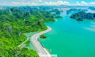 Ngắm vịnh Bái Tử Long từ tuyến đường bao biển đẹp nhất Việt Nam