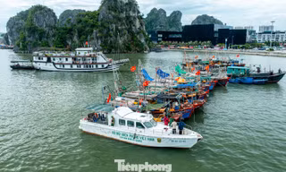 Quảng Ninh cấm biển, tàu thuyền hối hả chạy vào bờ tránh bão 