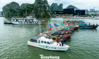 Quảng Ninh cấm biển, tàu thuyền hối hả chạy vào bờ tránh bão 