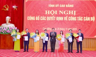 Tỉnh ủy Cao Bằng trao quyết định về công tác cán bộ