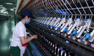 Phát huy vai trò nòng cốt thúc đẩy phát triển công nghiệp chế biến, chế tạo