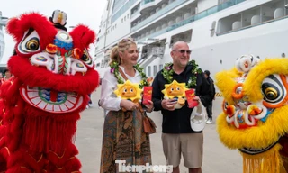 Quảng Ninh, Hải Phòng 'hái ra tiền' 