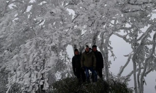 Xuất hiện băng giá trên đỉnh núi ở Cao Bằng