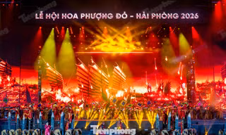 Mãn nhãn khai mạc Lễ hội Hoa Phượng Đỏ 2026