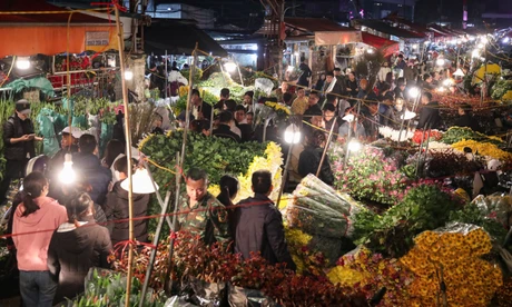 Hà Nội: Chợ hoa Quảng An 'không ngủ' dịp Tết 