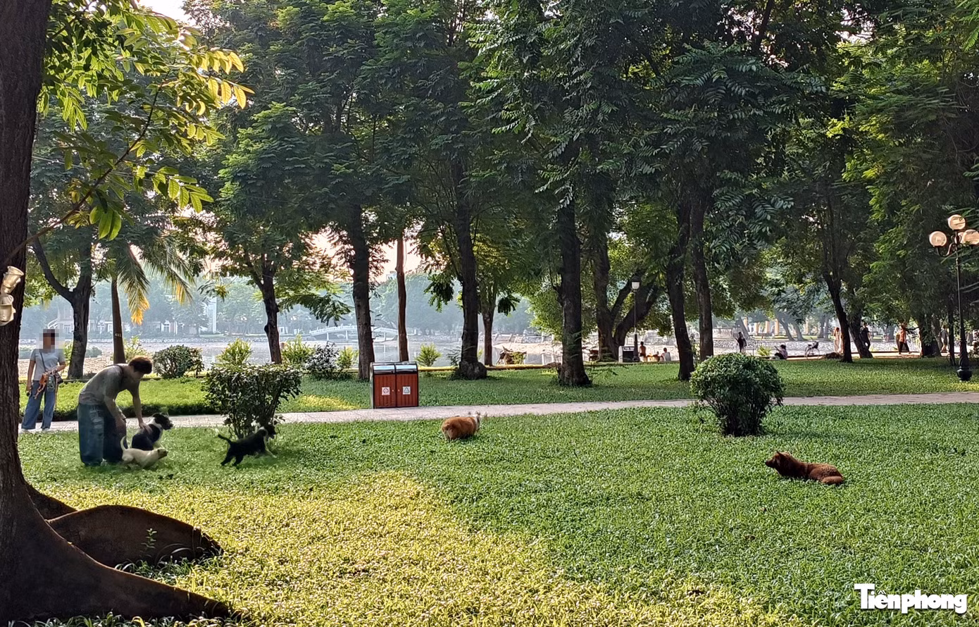 a8.jpg