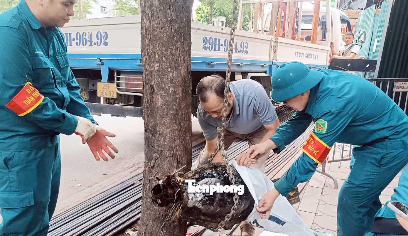 1h.jpg