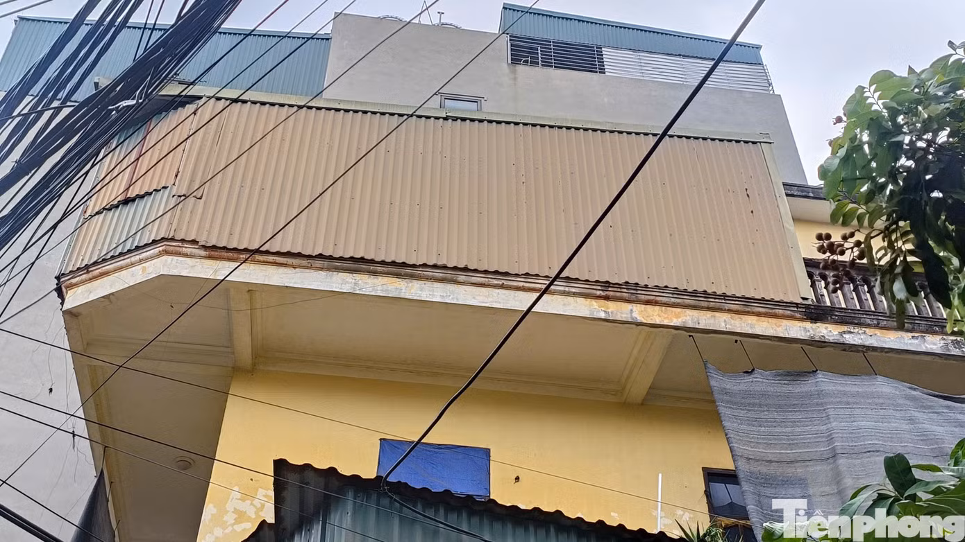 tp-br_can-sa-1.jpg