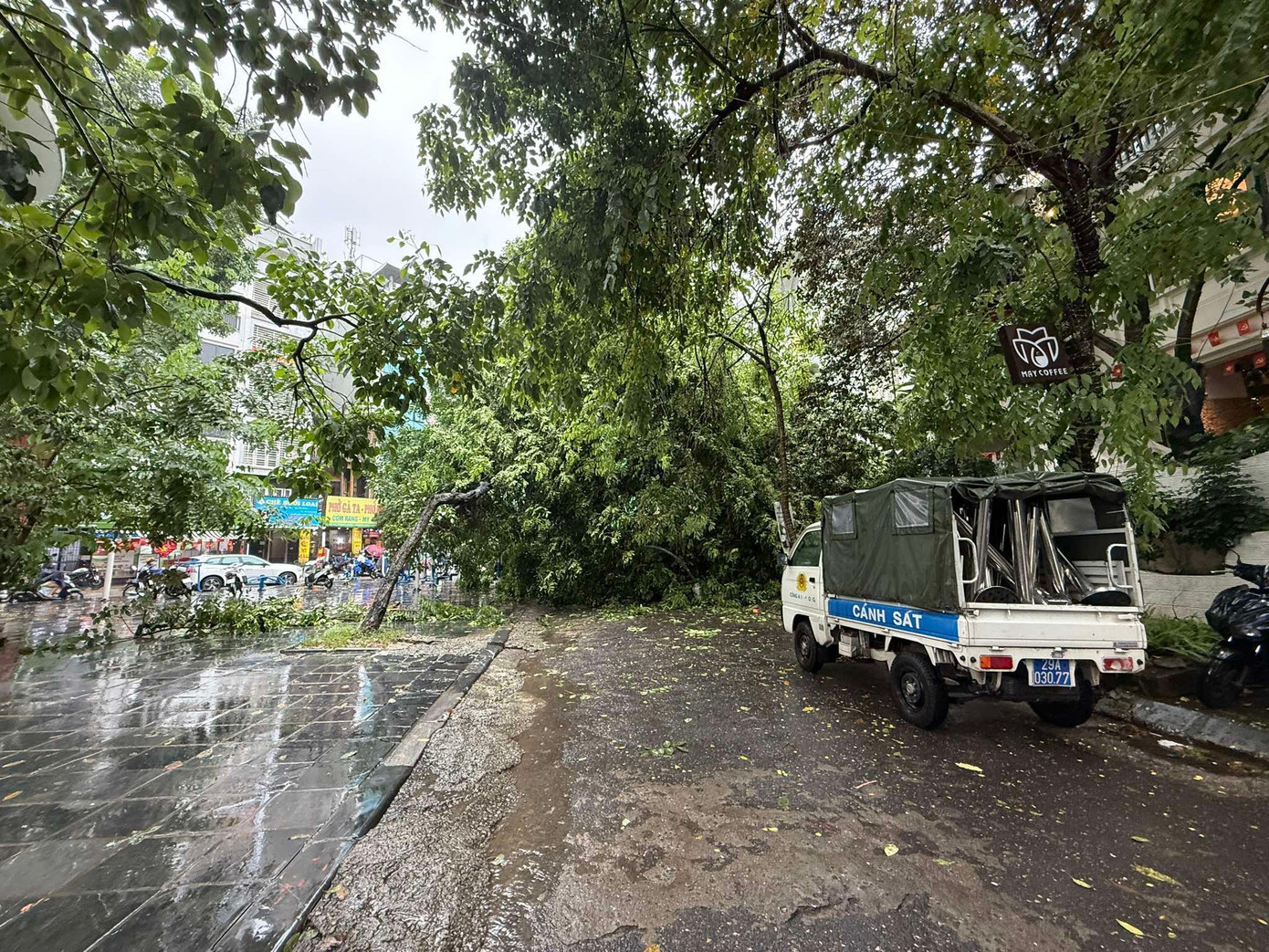 Lực lượng chức năng có mặt tại khu vực cây xanh đổ. cay-do-3.jpg