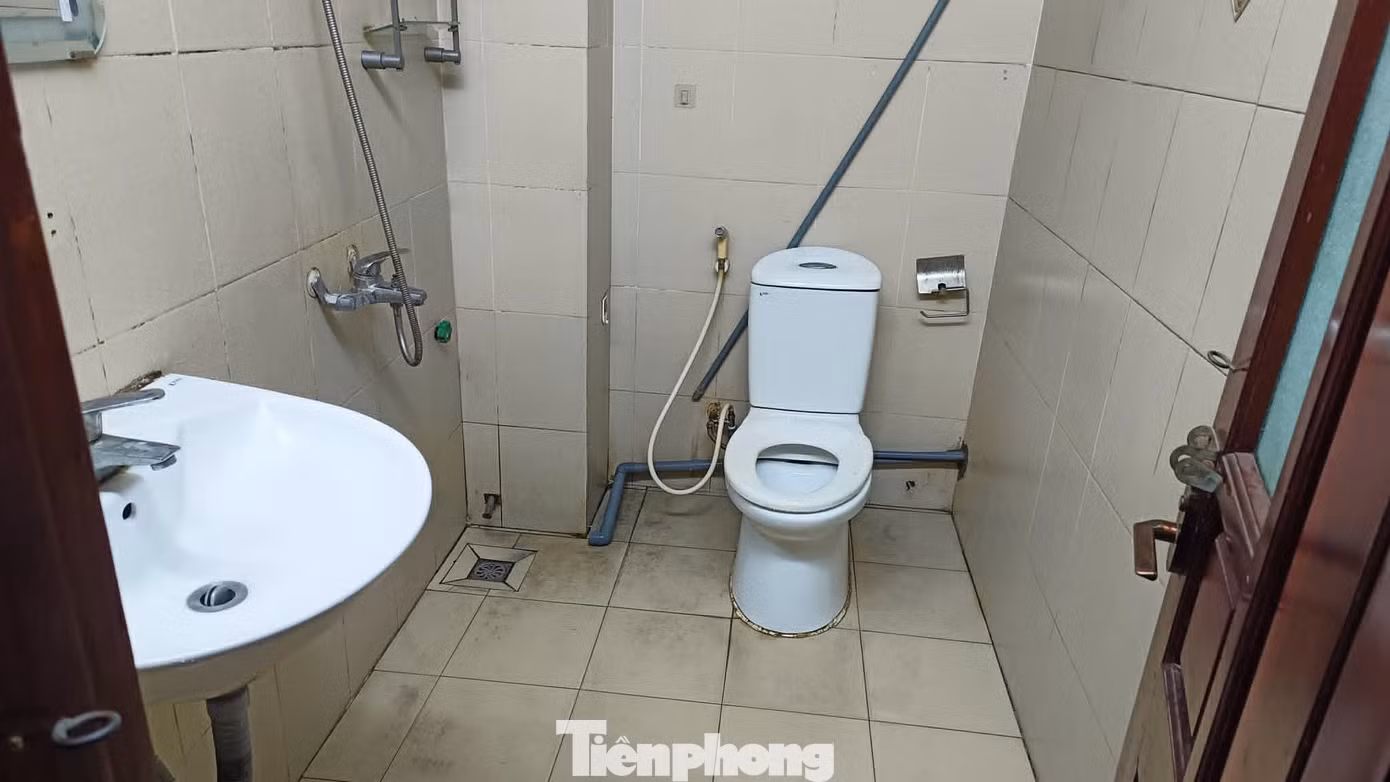 tp-c_4.jpg