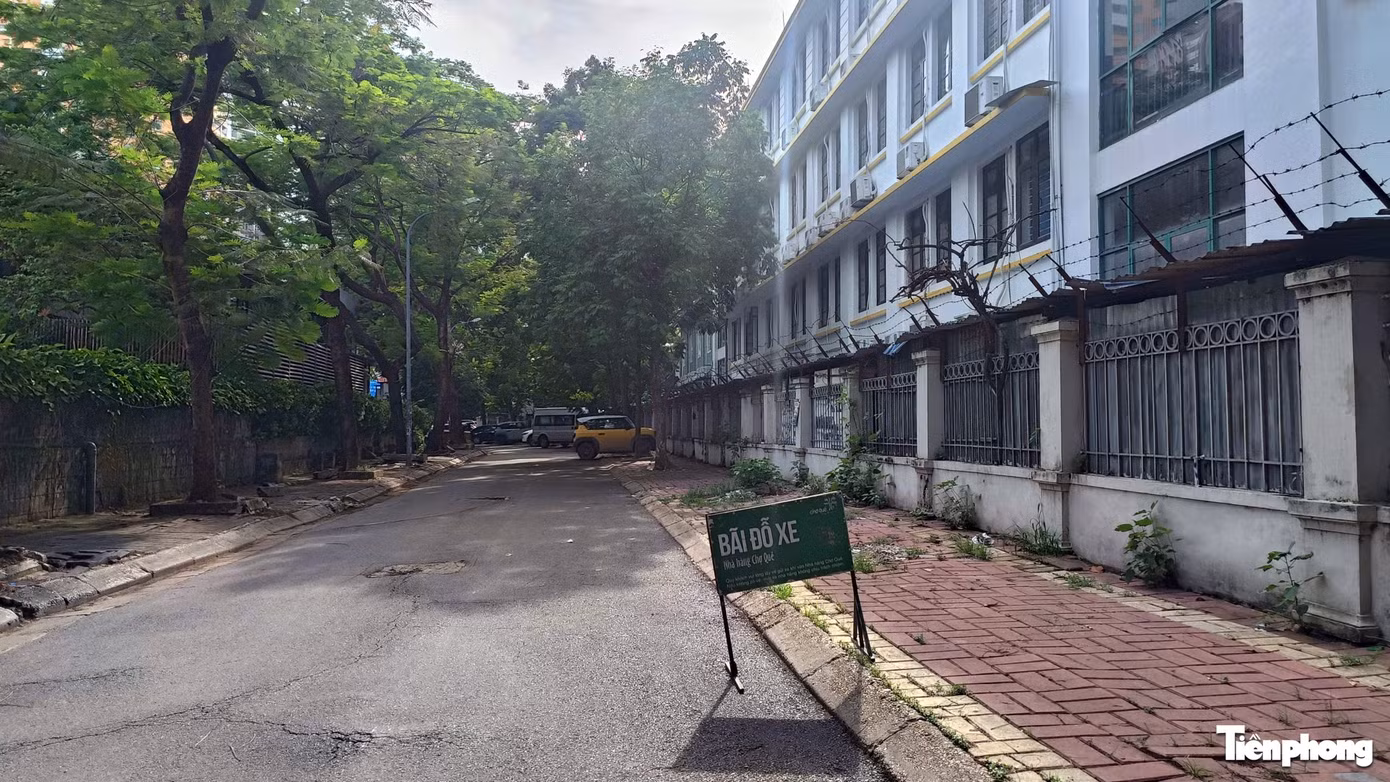 lan-chiem-long-duong-6.jpg