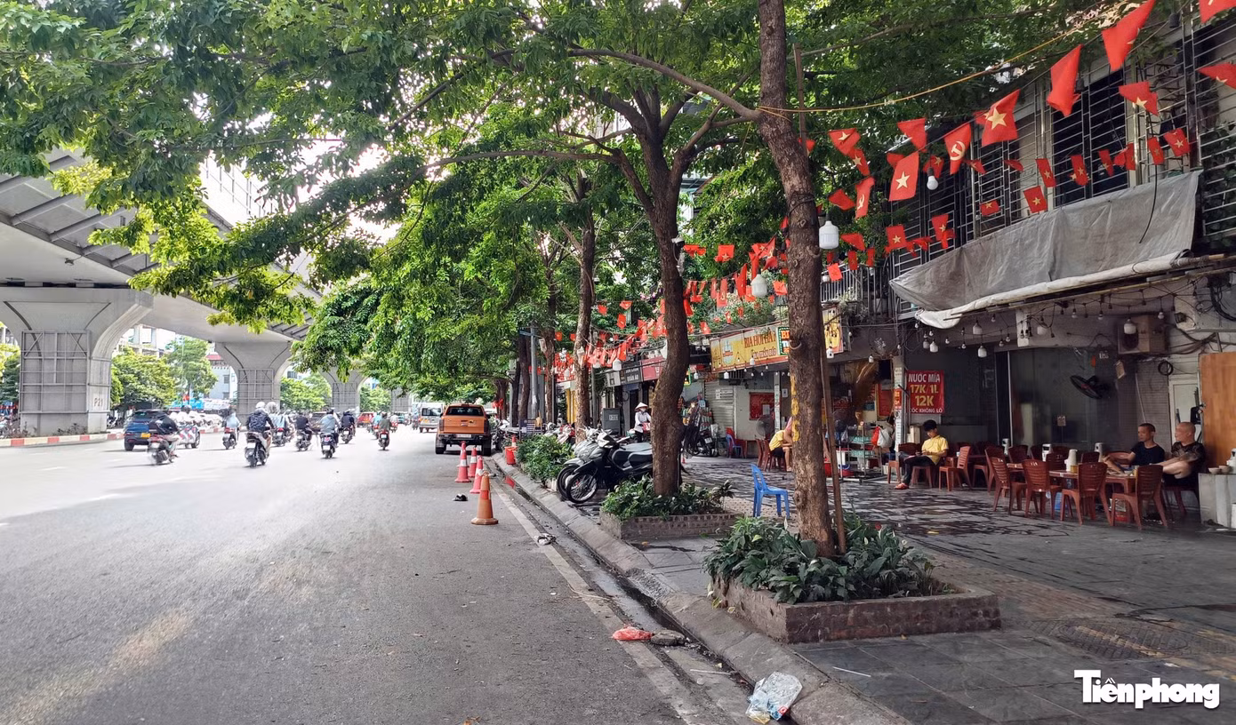 lan-chiem-long-duong-7.jpg