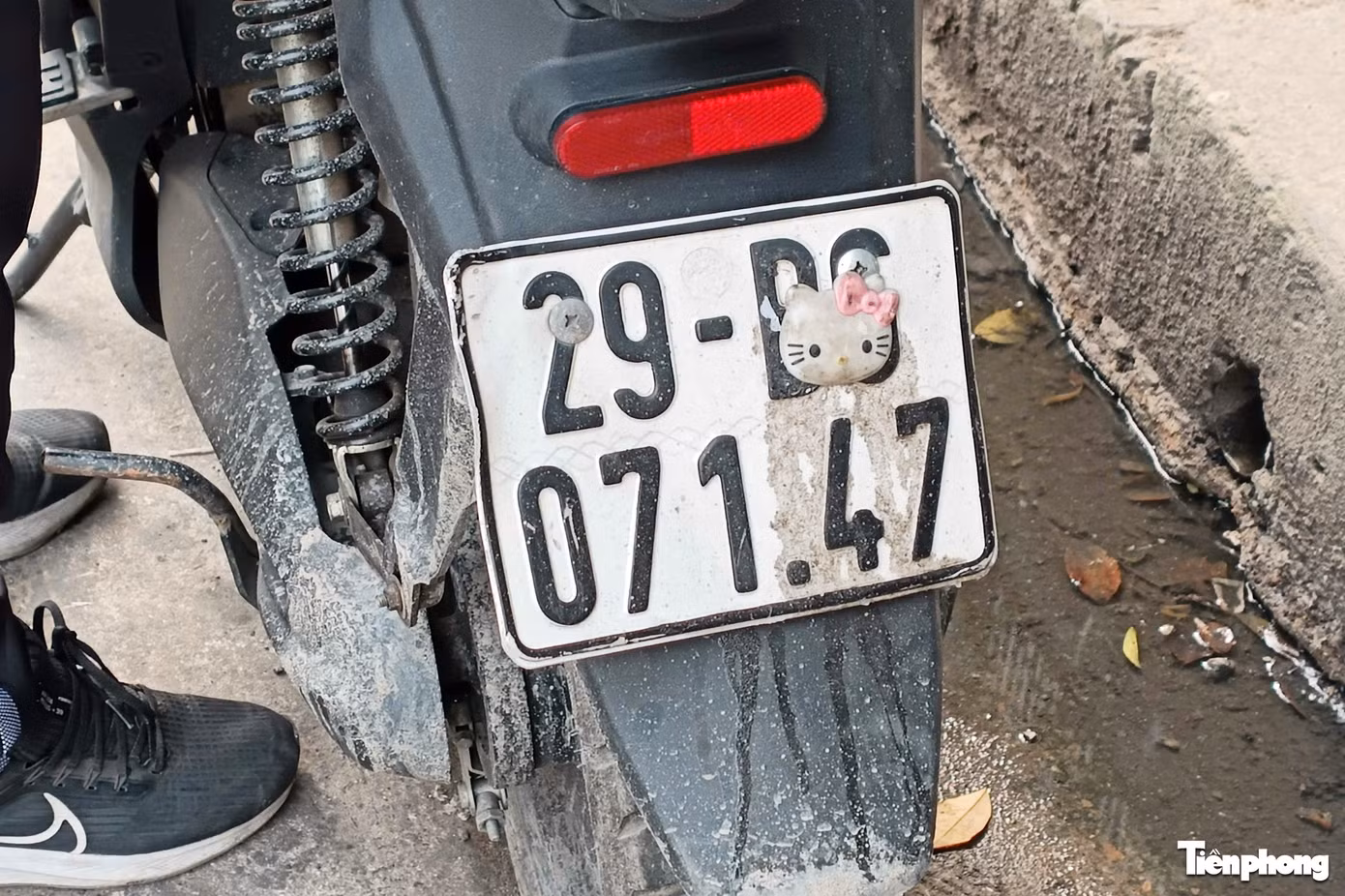 a4.jpg