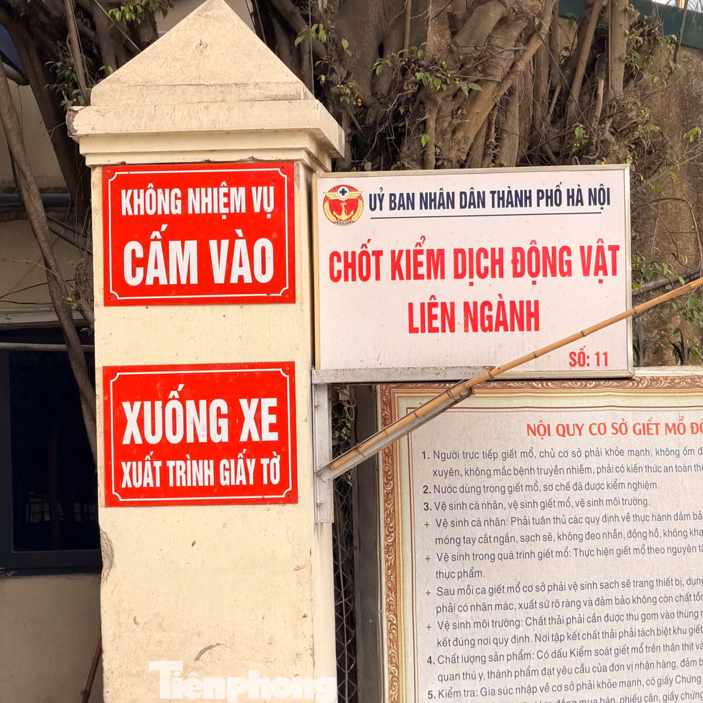 c-kiem-dich.png