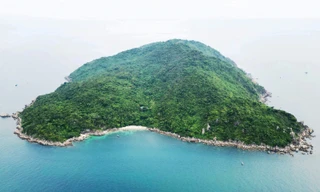 Huế bàn giao nhiều diện tích rừng cho Đà Nẵng