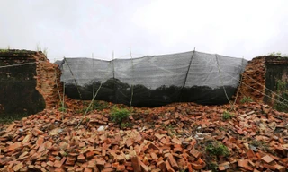 Huế chi 2,2 tỷ đồng xử lý khẩn cấp đoạn tường Hoàng thành bị sập