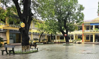 Sau bữa ăn trưa, nhiều học sinh một trường tiểu học ở Huế bị nôn ói