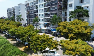 Đi làm xa hơn 20km được mua nhà ở xã hội