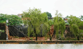 Mưa lũ dồn dập, tường gạch Hoàng thành Huế bị sạt lở 15m