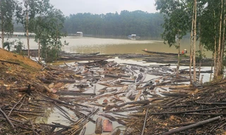 Hàng chục tấn gỗ, củi theo lũ dồn về hồ thủy điện tại Huế