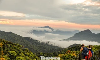 Ngắm thiên nhiên kỳ thú tại khu rừng cấm vừa trở thành ‘Vườn Di sản ASEAN’